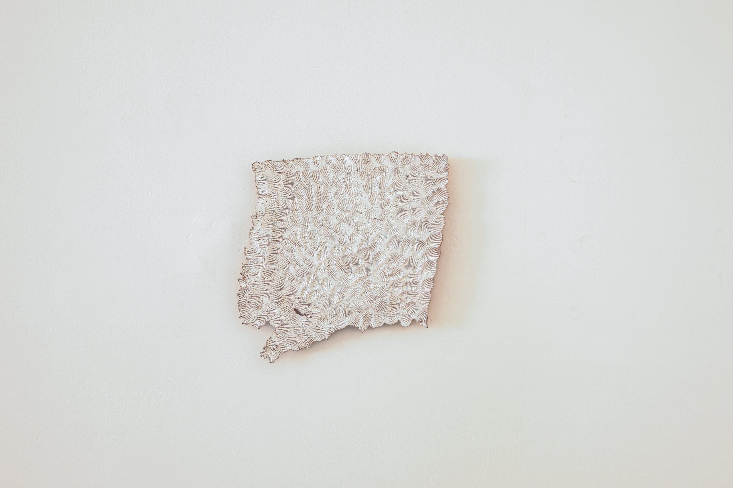Freedom: shell tile (14)
