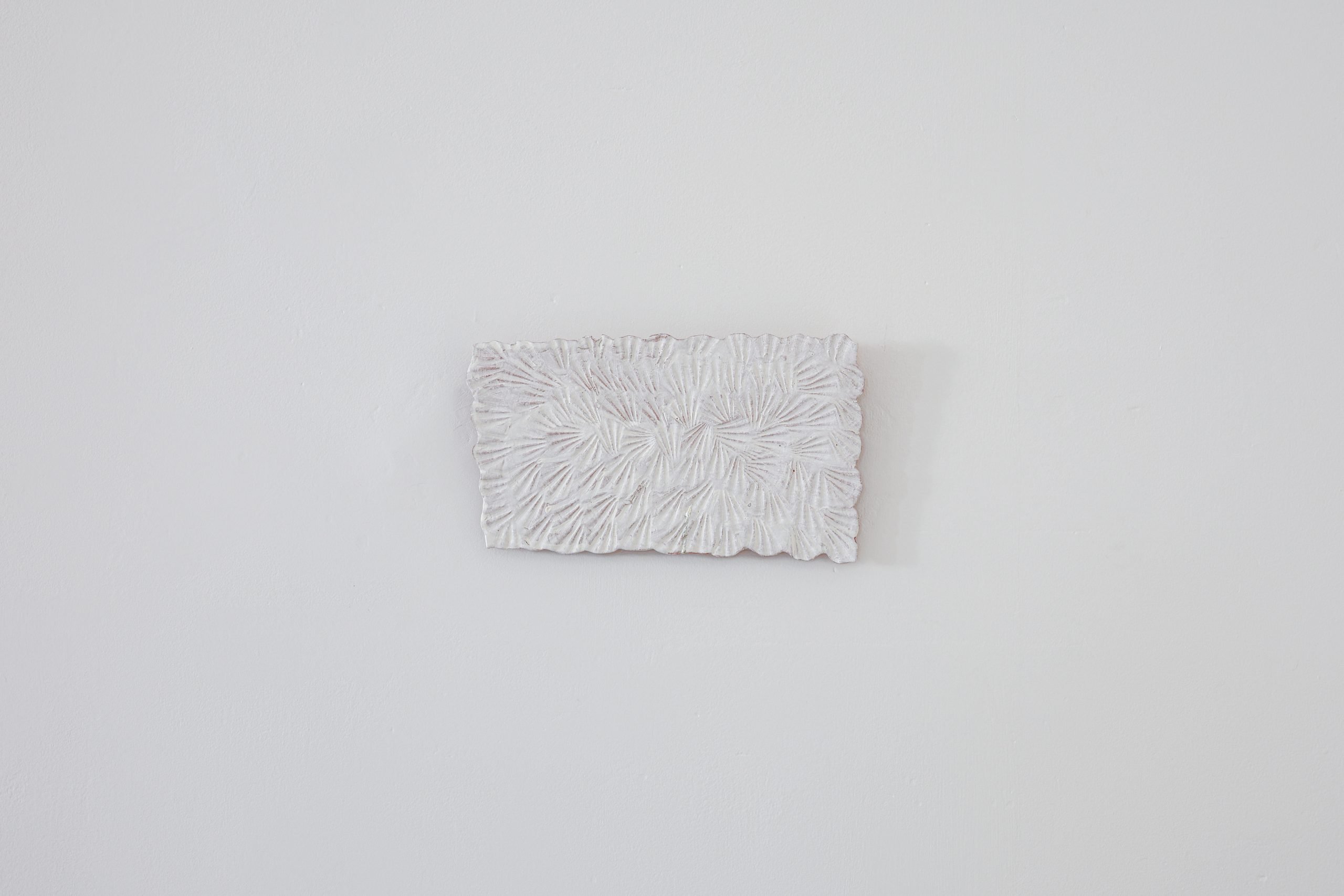 Freedom: shell tile (9)