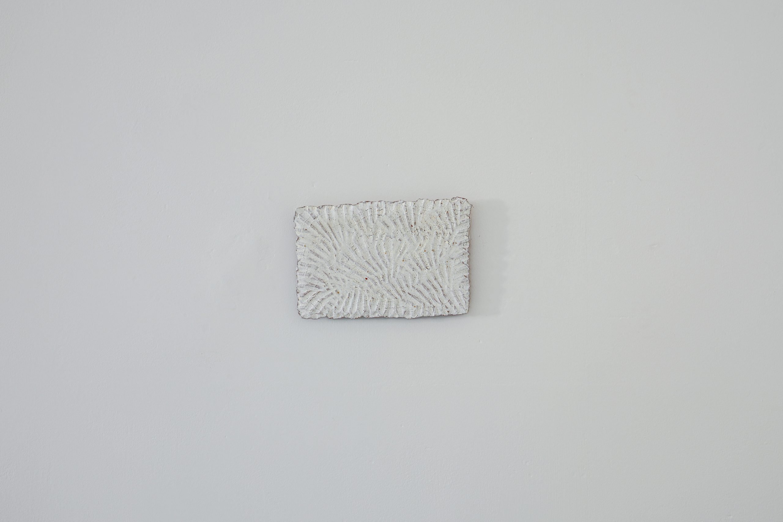 Freedom: shell tile (3)