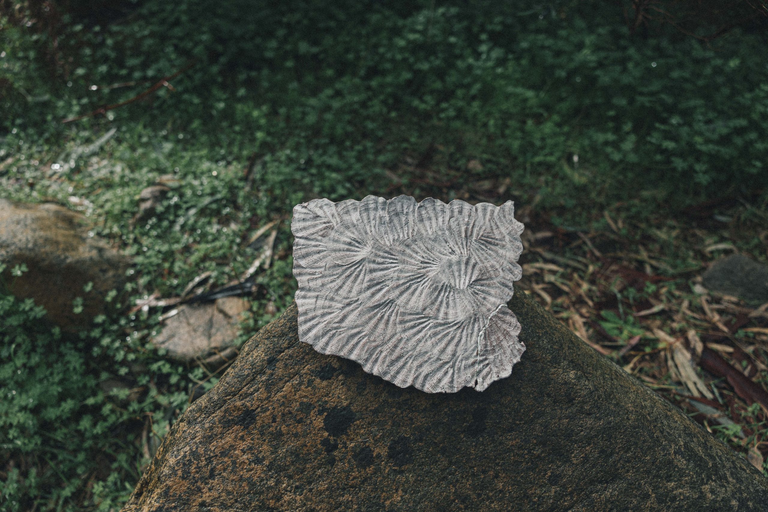 Freedom: shell tile (6) - Image 4