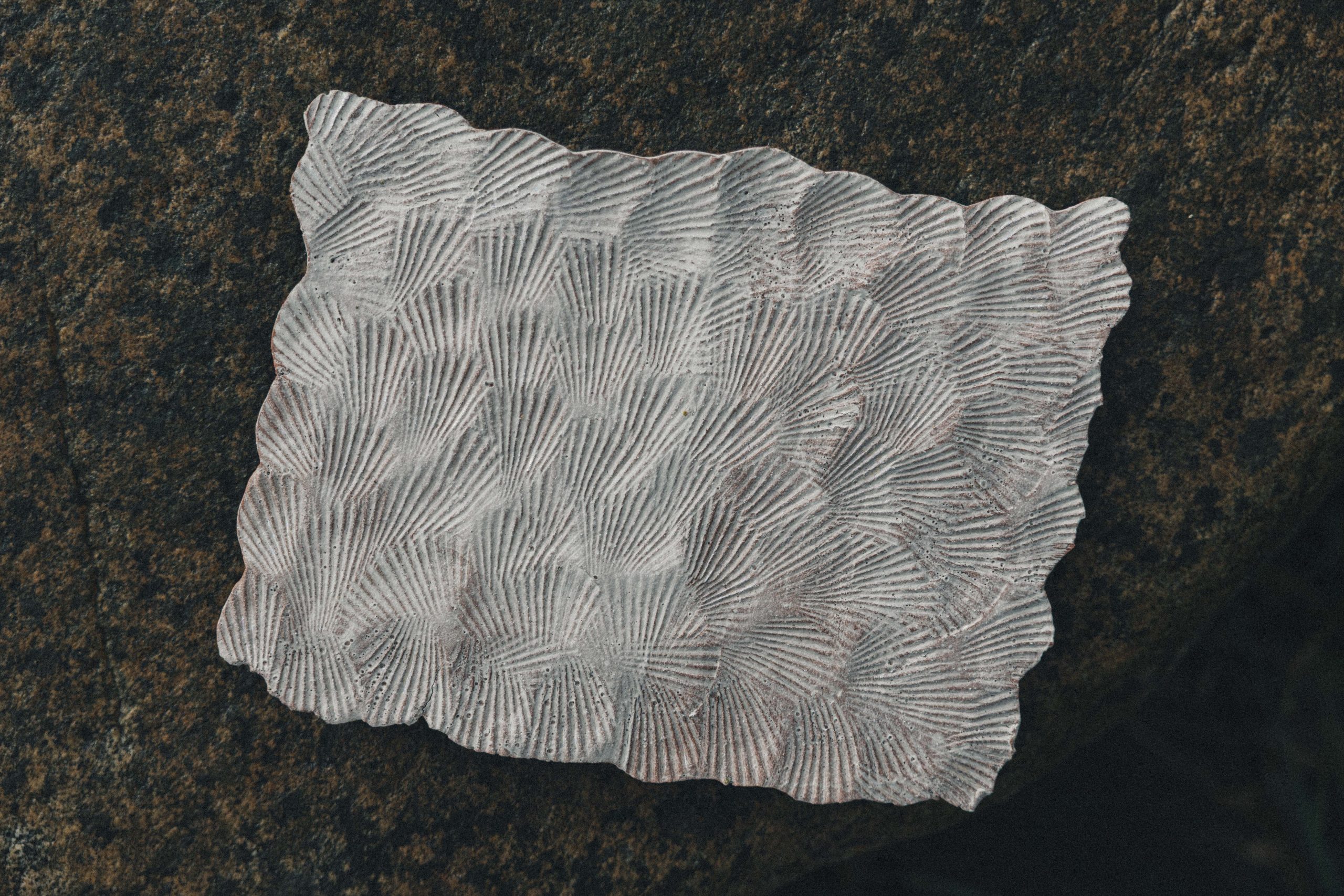 Freedom: shell tile (5) - Image 4
