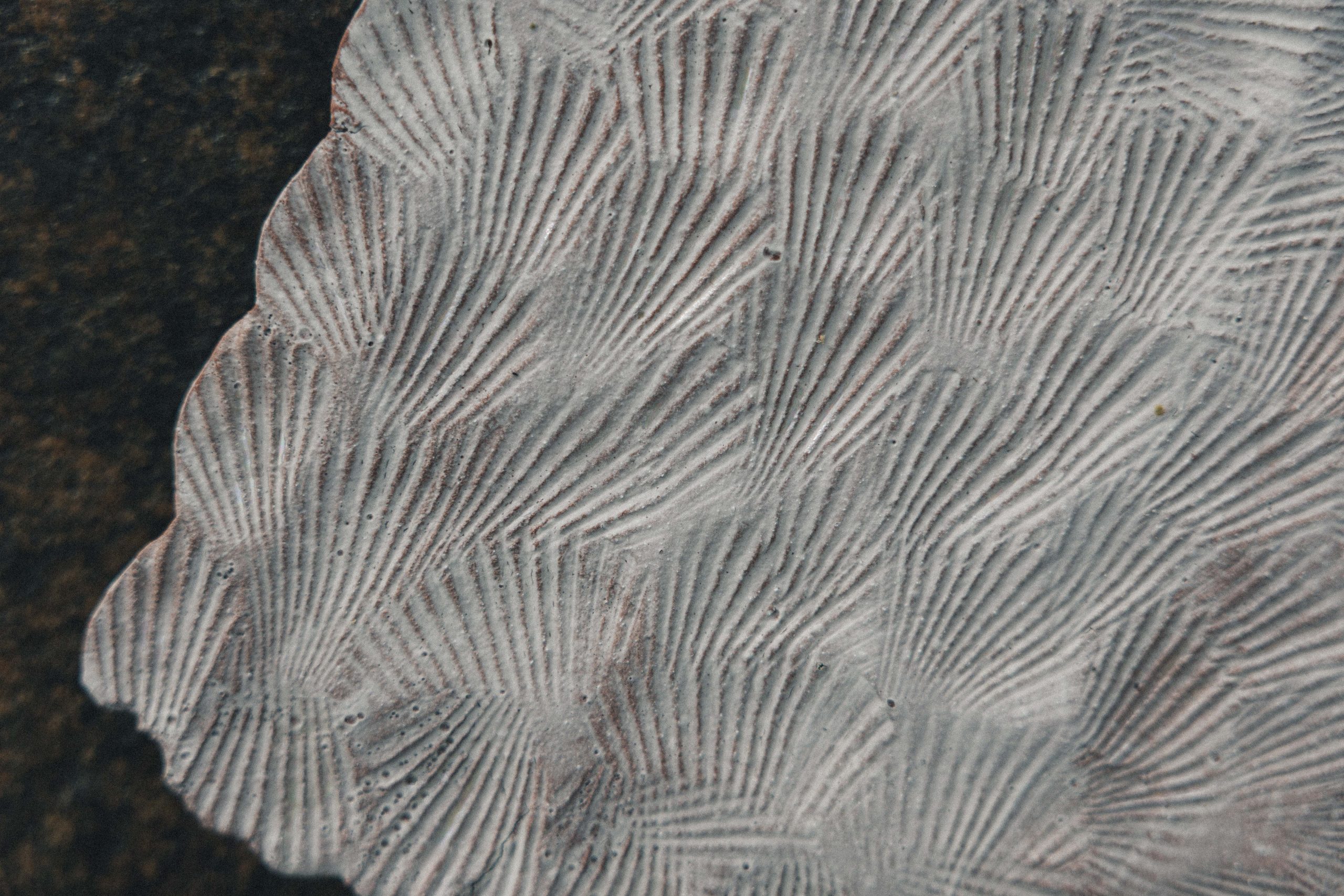 Freedom: shell tile (5) - Image 5